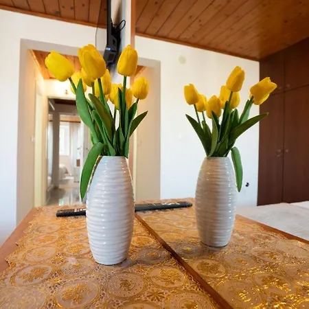 Rooms Magnolia With Pool Novalja Exterior photo